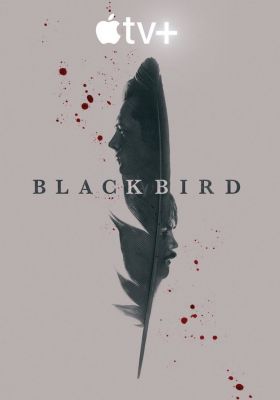 Черная птица 1 сезон